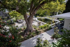 garden-by-day