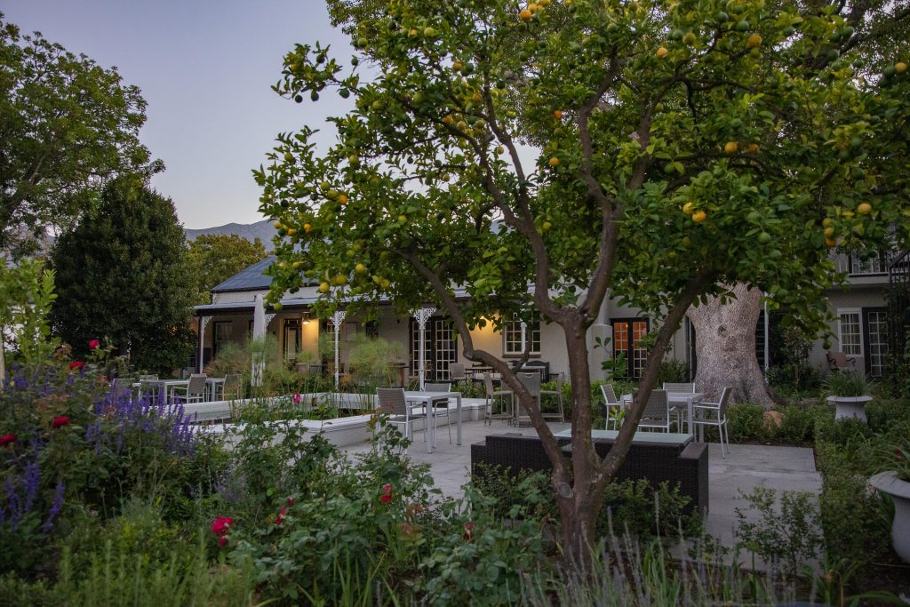 garden-by-night